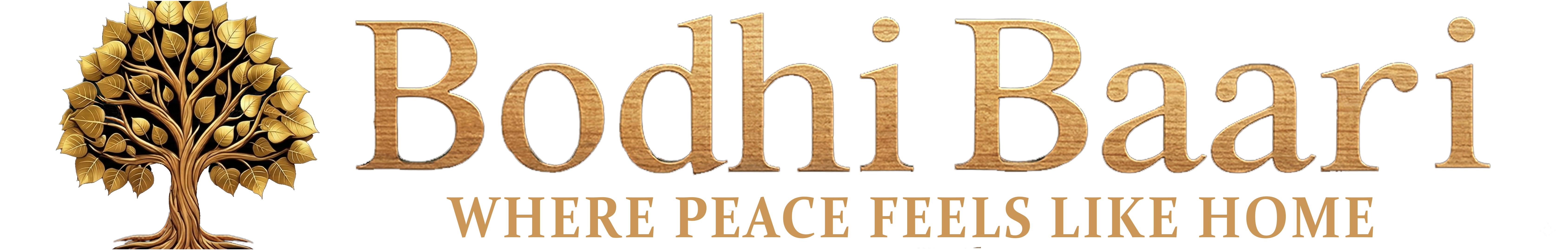 Bodhibaari Logo